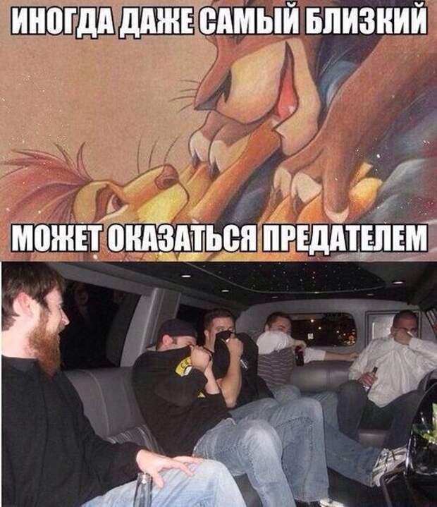 Прикольные картинки