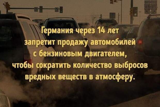 Интересные факты для любознательных