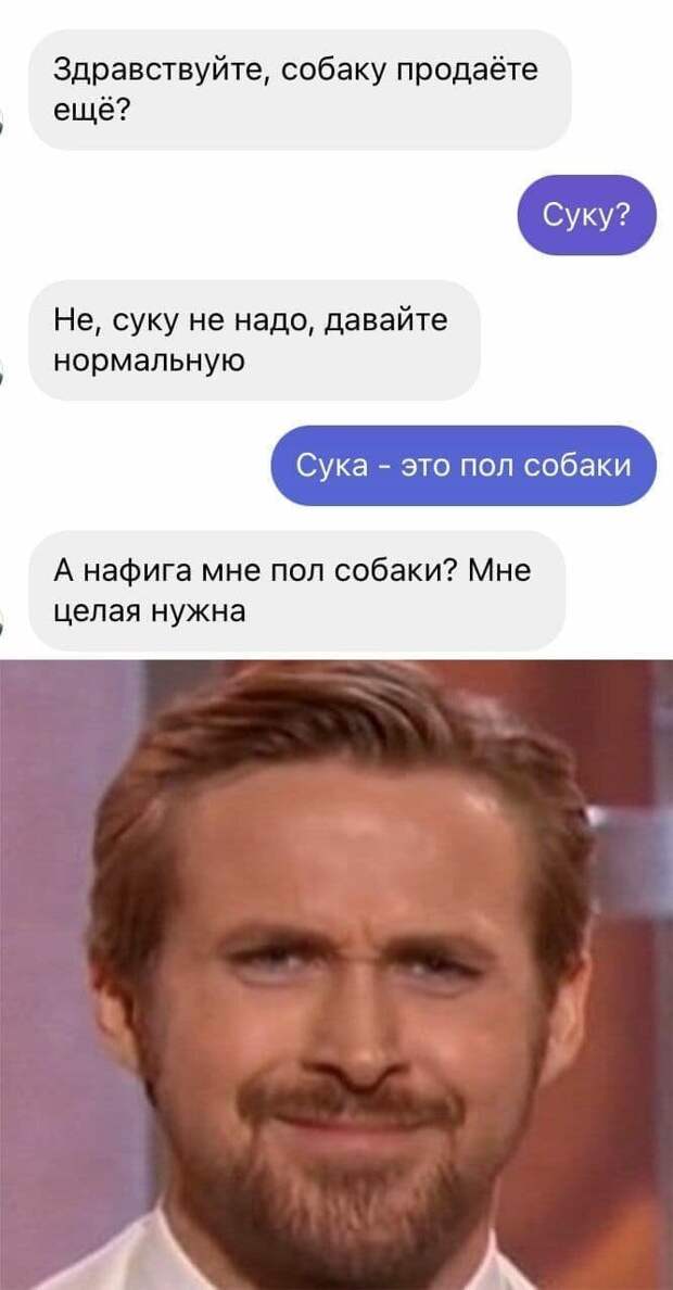 Менеджер по пропажам и полсобаки: подборка каламбуров и лингвошуток