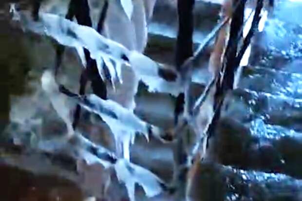 Дом в российском городе превратился в дворец Снежной Королевы