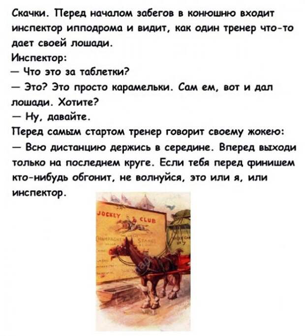 Картинки с надписями,истории и анекдоты