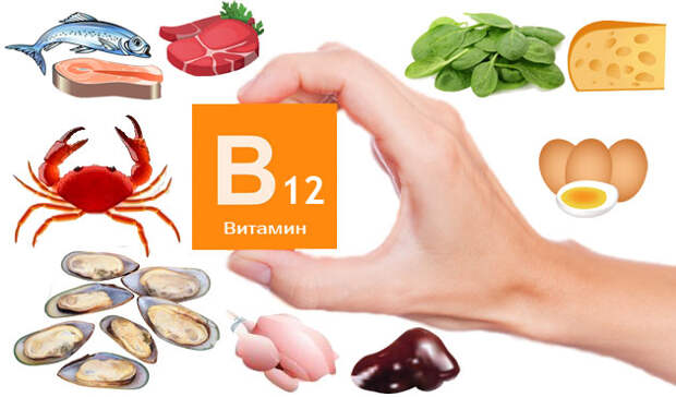 В каких продуктах содержится витамин В12 - В каких продуктах содержится витамин В