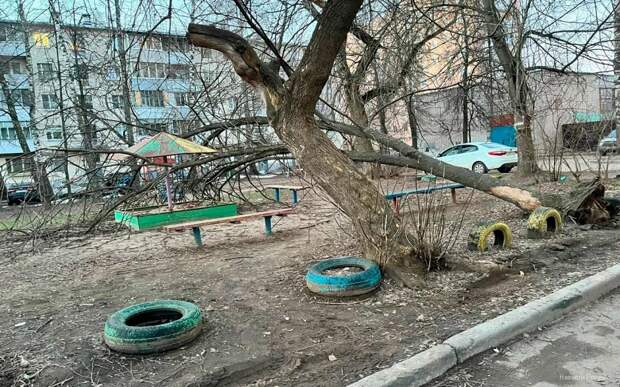Соцсети: на детскую площадку в Рязани упало дерево