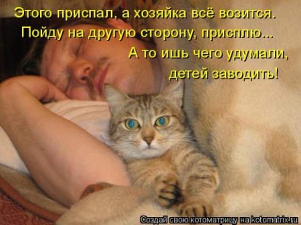 Забавные котоматрицы