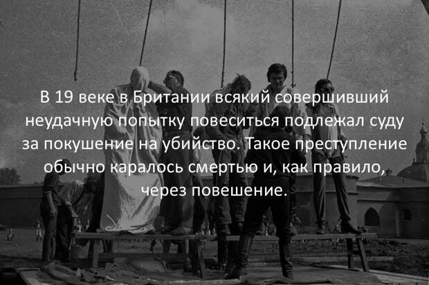 Интересные факты в картинках