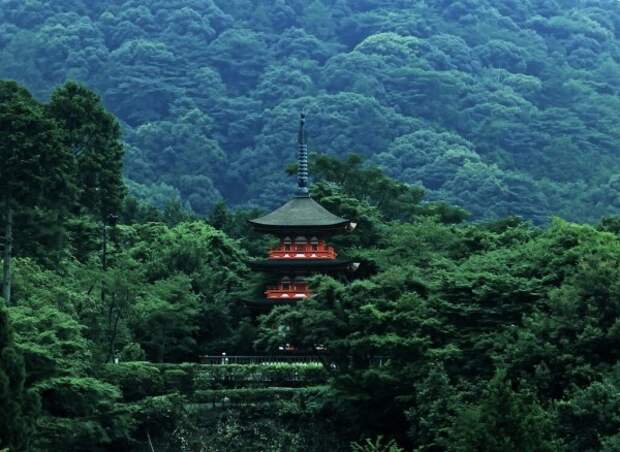 Как Япония в XVIII веке спаслась от экологической катастрофы