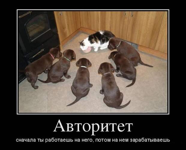Смешные свежие демотиваторы Смешные свежие демотиваторы
