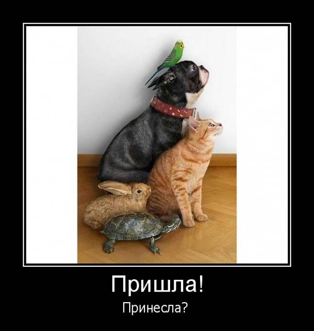 Работу работаю. Я пришла с работы прикольные картинки. Пришел домой с работы. Пришел домой с работы. Пришла из работы или с работы.