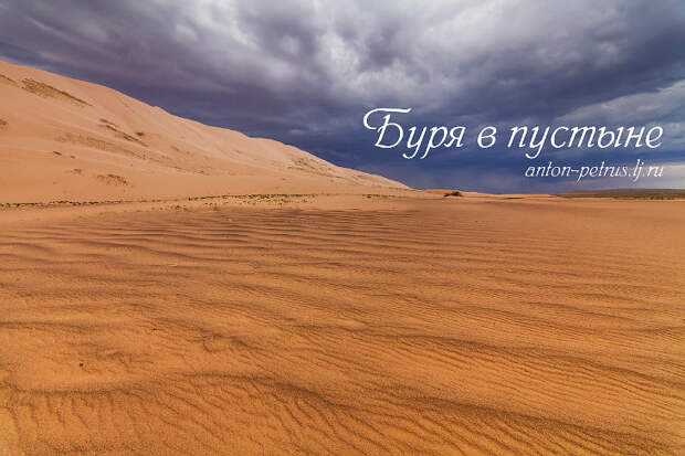 Буря в пустыне