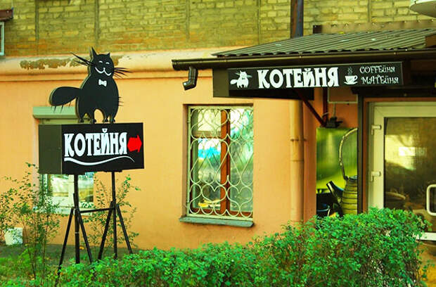 18 непревзойденных объявлений с идеальным сочетанием юмора и сарказма 18 непревзойденных объявлений с идеальным сочетанием юмора и сарказма
