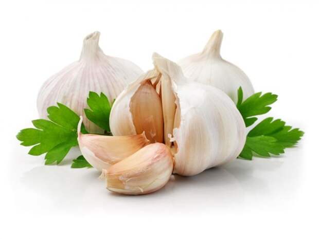 Полезные и загадочные свойства чеснока 6 garlic health 6