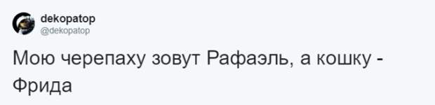 Кто во что горазд, или как правильно назвать своего питомца