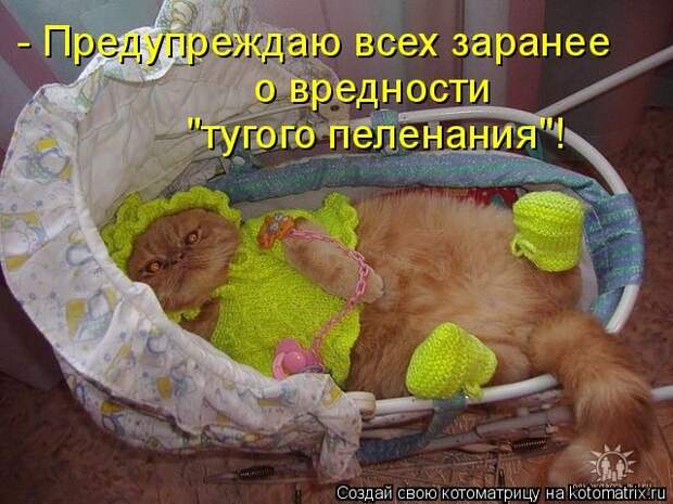 Лучшие котоматрицы недели (50 фото)