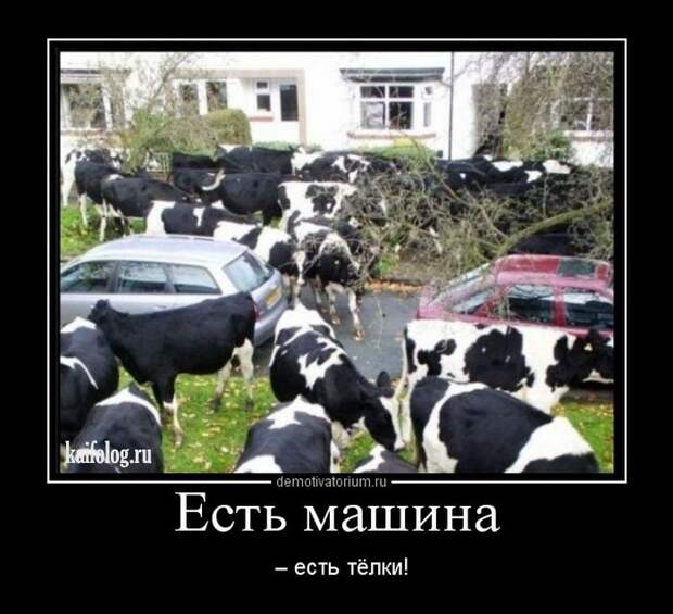 Демотиваторы - 249 (55 демотиваторов)
