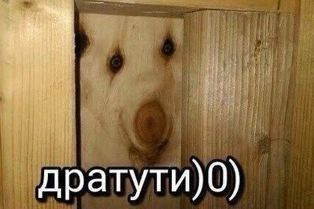 Сучки в деревянной доске напоминают смешную улыбающеюся рожицу, кто-то это заметил и придумал мем. Сфотографировал и добавил надпись "дратути" - здравствуйте. В итоге многих это заставляет смеяться (нет)