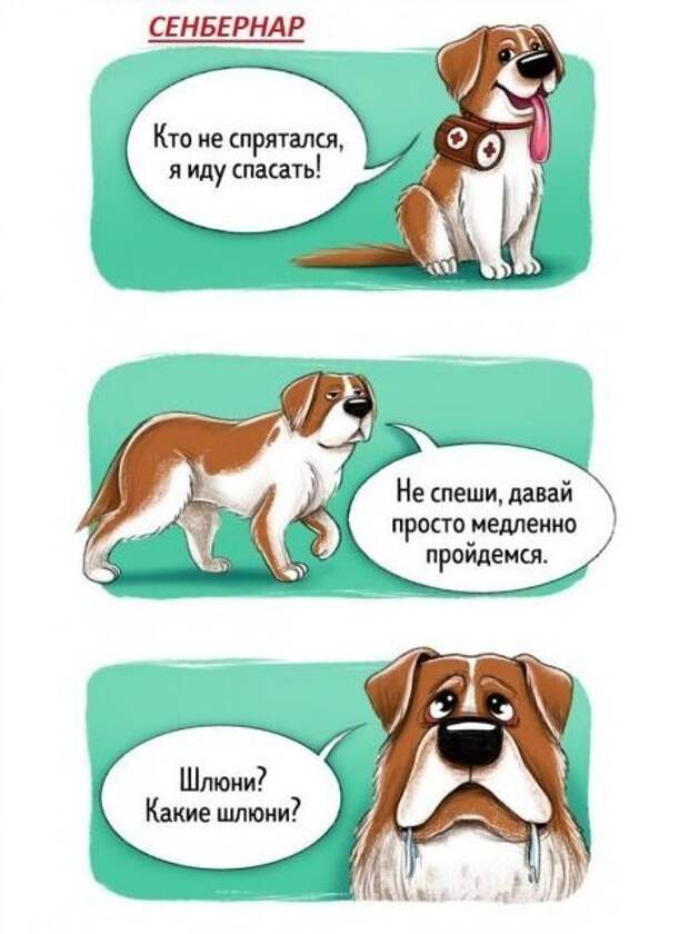 Весёлый гид по породам собак Породы собак, особенности пород, собаки, юмор