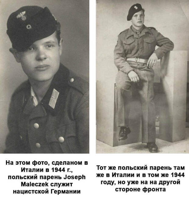 Поляки в Вермахте и СС