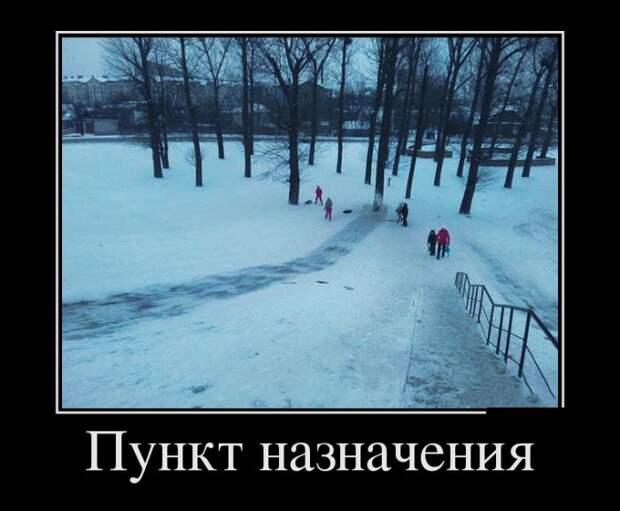 Демотиваторы (30 фото)