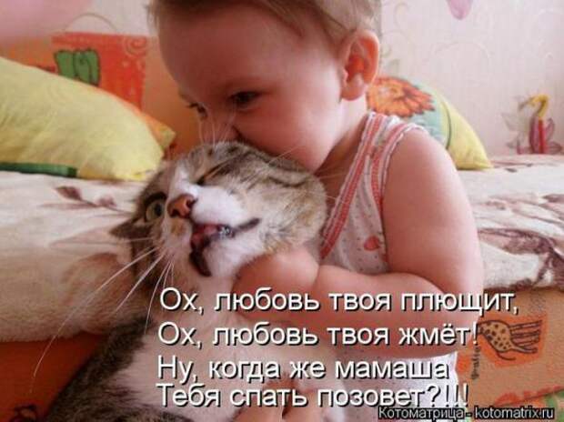Котоматрицы(картинки с надписями)