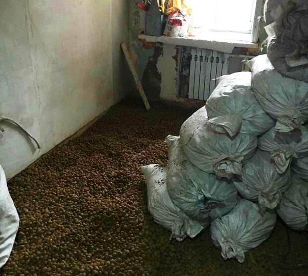 Для того, чтобы сократить срок высыхания цементной стяжки, решили использовать керамзит. | Фото: industriyaremonta.ru.