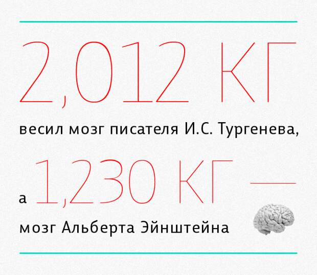 мозг2 мозг2