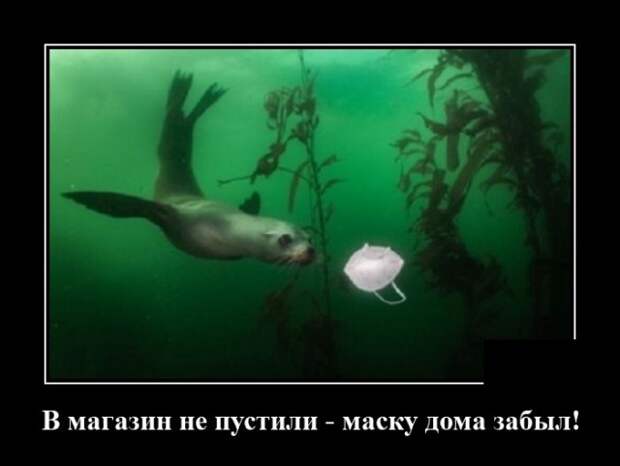 Демотиваторы 27 апреля 2021