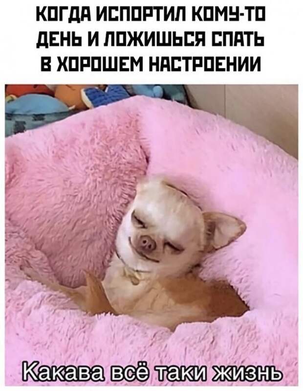Хорошее настроение Хорошее настроение