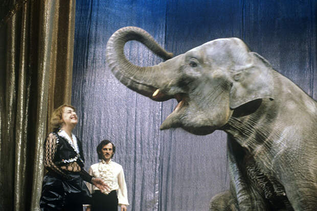 Наталья Дурова со слоном