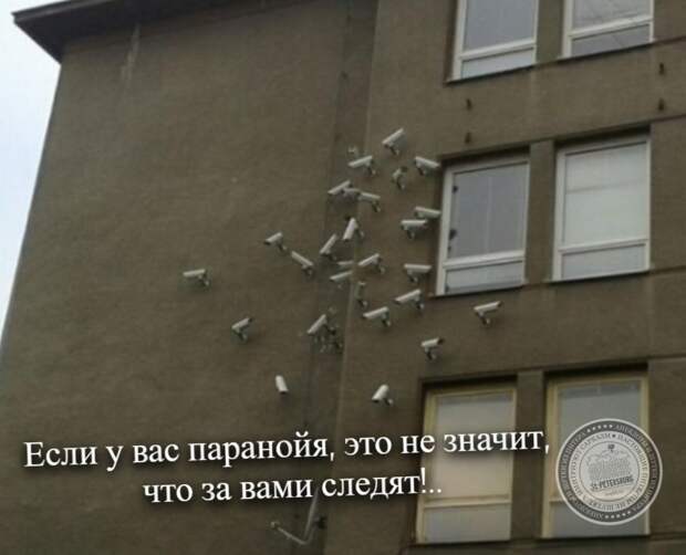Паранойя