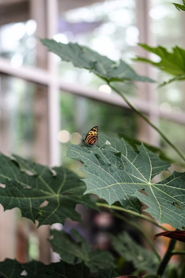 Seattle Washington Pacific Science Center-15.jpg