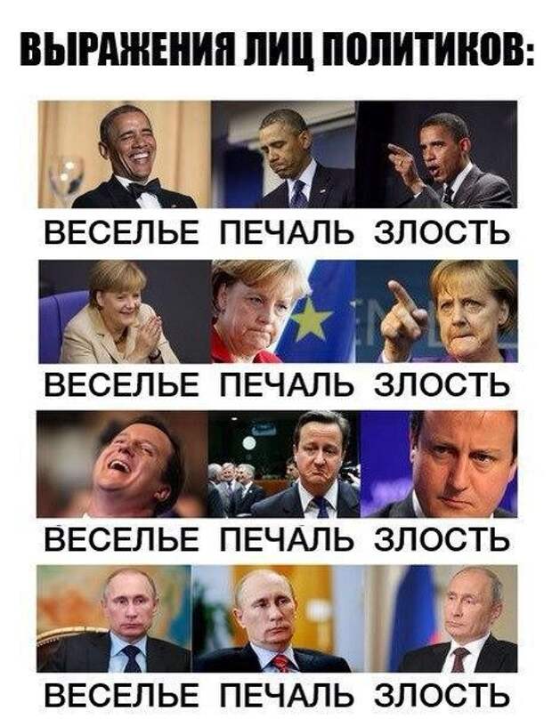 Смешные картинки с надписям