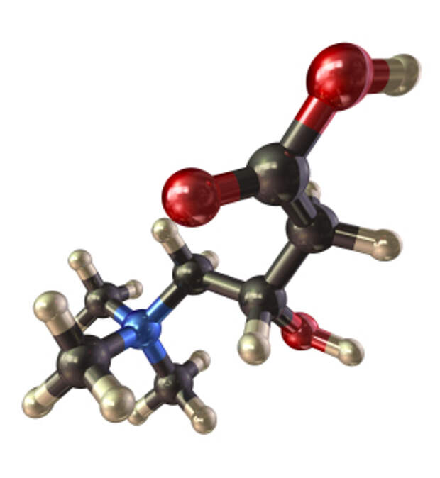 Молекула л. Л карнитин соединение. Молекула l. Л карнитин картинки молекул.