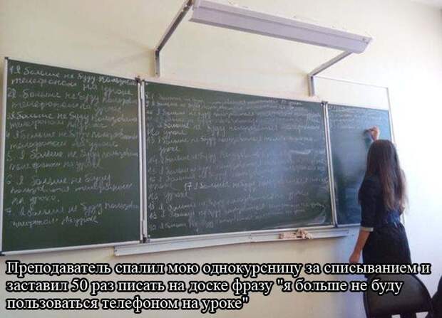 Лучшие приколы дня