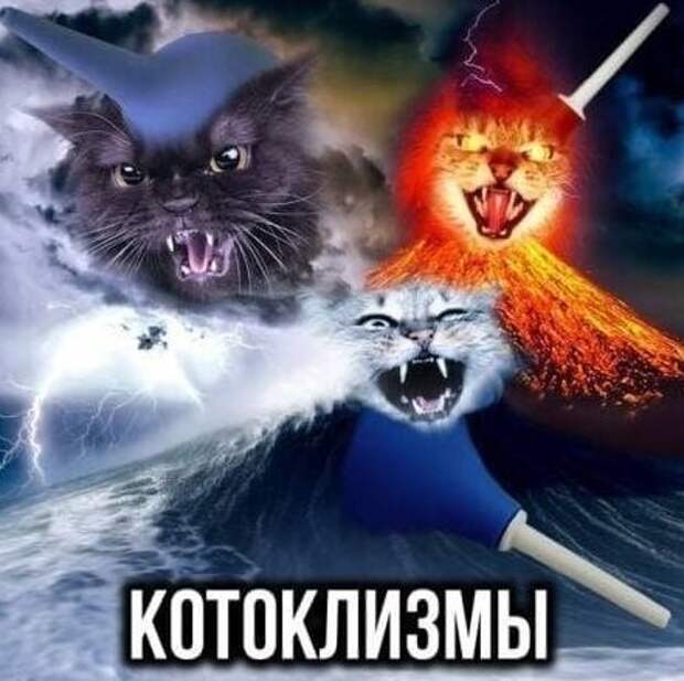Менеджер по пропажам и полсобаки: подборка каламбуров и лингвошуток