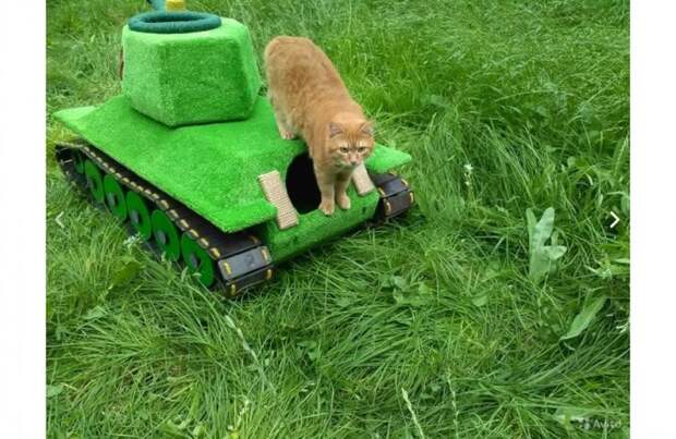 Новосибирец сделал 50-килограммовый танк для кота дом, животные, кот, своими руками, танк