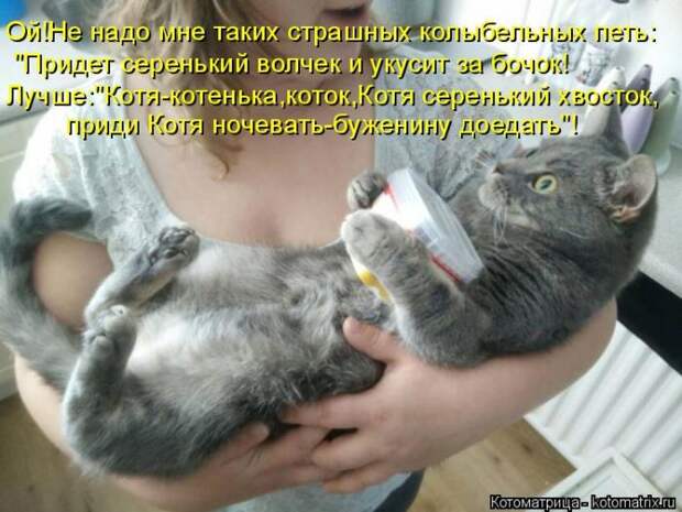 Лучшие котоматрицы недели (50 фото)