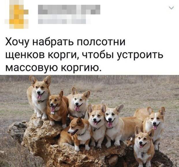 картинки