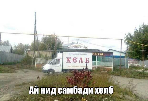 Прикольные картинки. Вечерний выпуск (80 фото)