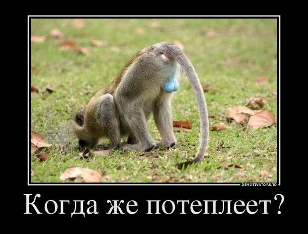 Немножко приколов Немножко приколов прикол, приколы, фото
