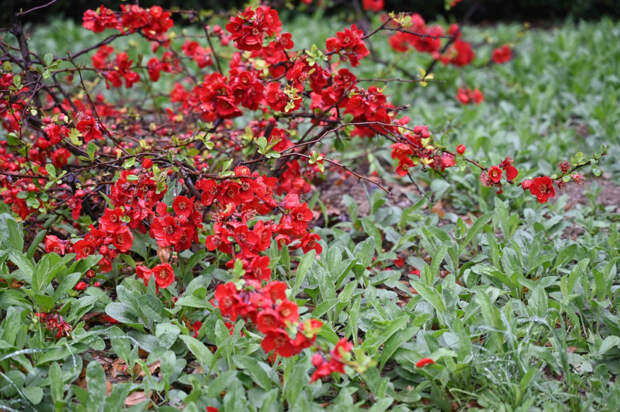 Погода 10 марта: днём до +13 и солнечно