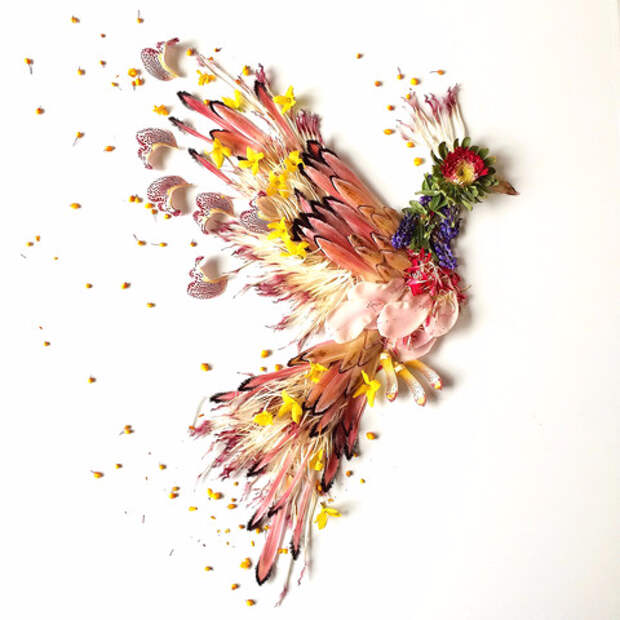 phoenix_large (480x480, 170Kb)