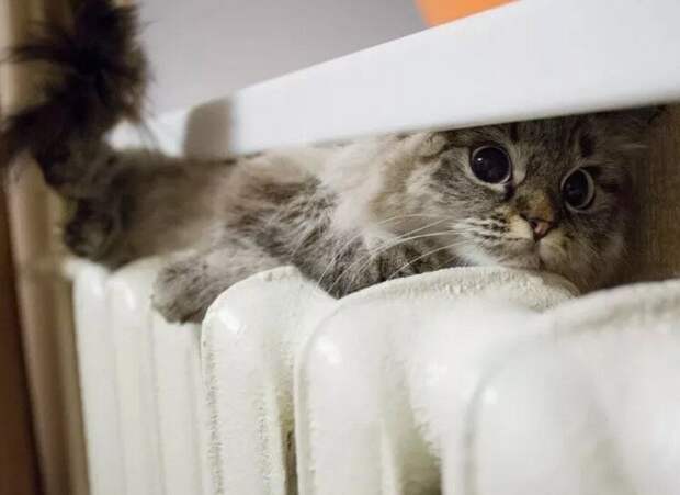 Источник фото: ok.ru