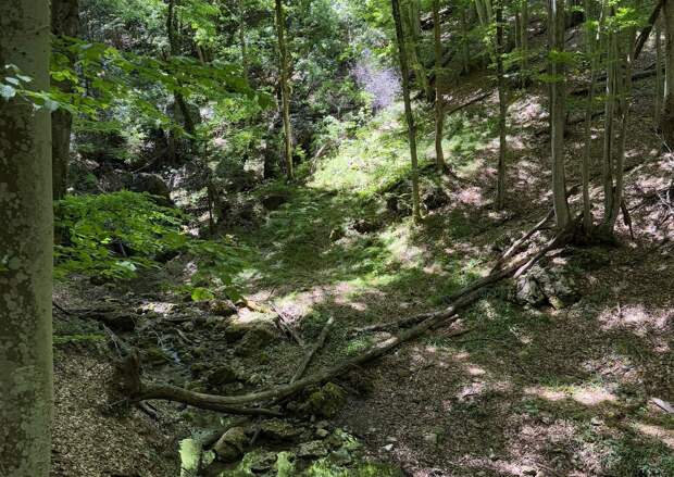 В Крыму появится новый пеший экологический маршрут к водопаду «Суаткан»