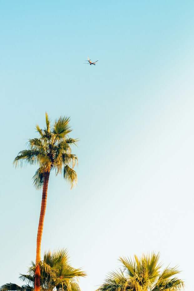 «Аэрофлот» запускает дополнительные рейсы в тропические страны для российских туристов