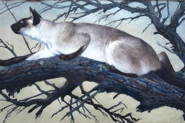 tunnicliffe_stalking_cat_1600x900 (1).jpg tunnicliffe_stalking_cat_1600x900 (1).jpg