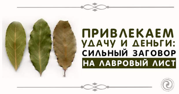 Лавровый лист для привлечения денег и удачи. Лавровый лист для привлечения денег и удачи