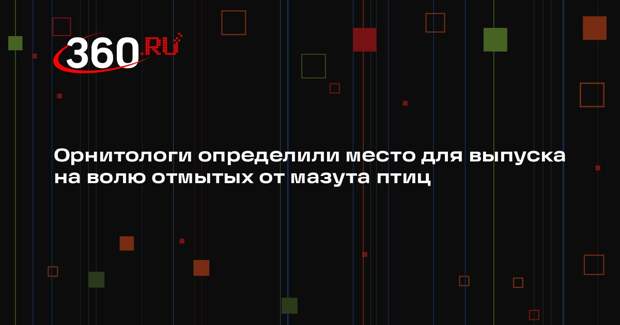 Отмытых от мазута птиц выпустят в Азовское море в Темрюкском районе Кубани