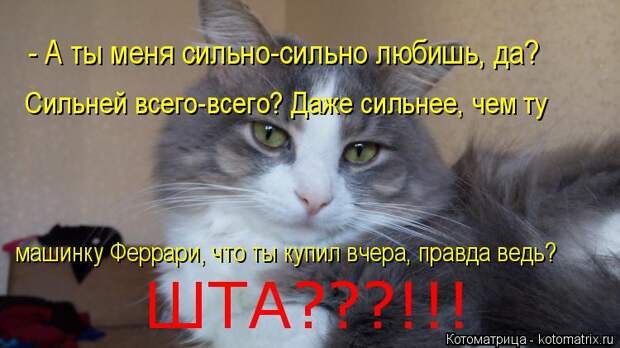 Котоматрица: - А ты меня сильно-сильно любишь, да? Сильней всего-всего? Даже сильнее, чем ту машинку Феррари, что ты купил вчера, правда ведь?  ШТА???!!!