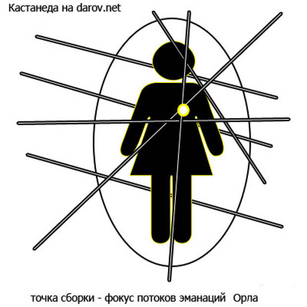Точка сборки