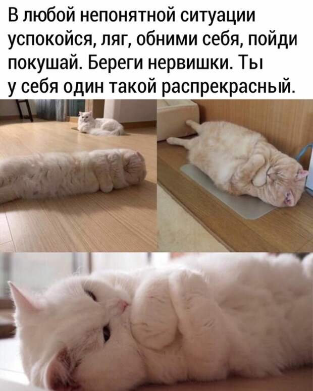 oCorhUybONQ (560x700, 207Kb)